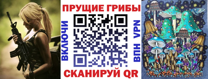 Купить закладки  Мезень  Псилоцибиновые грибы GOLDEN TEACHER 